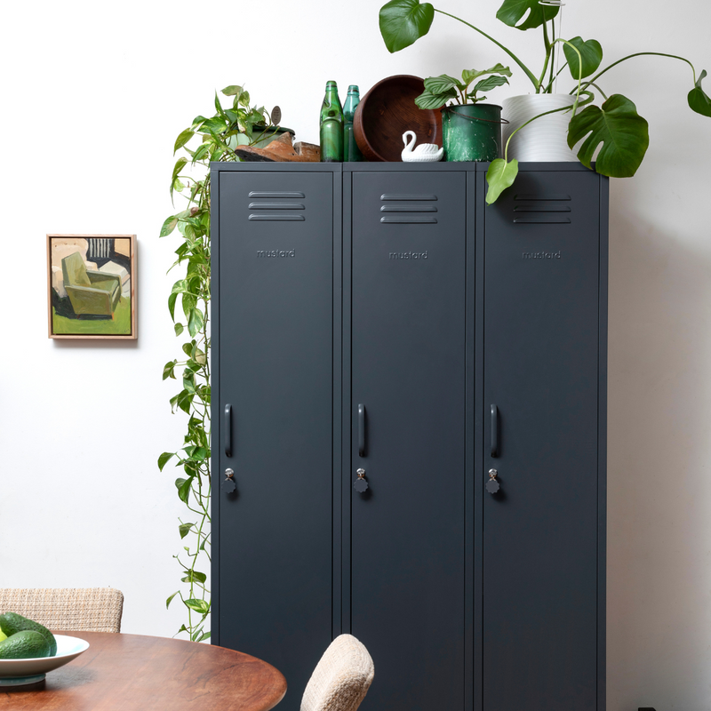 The Skinny Locker