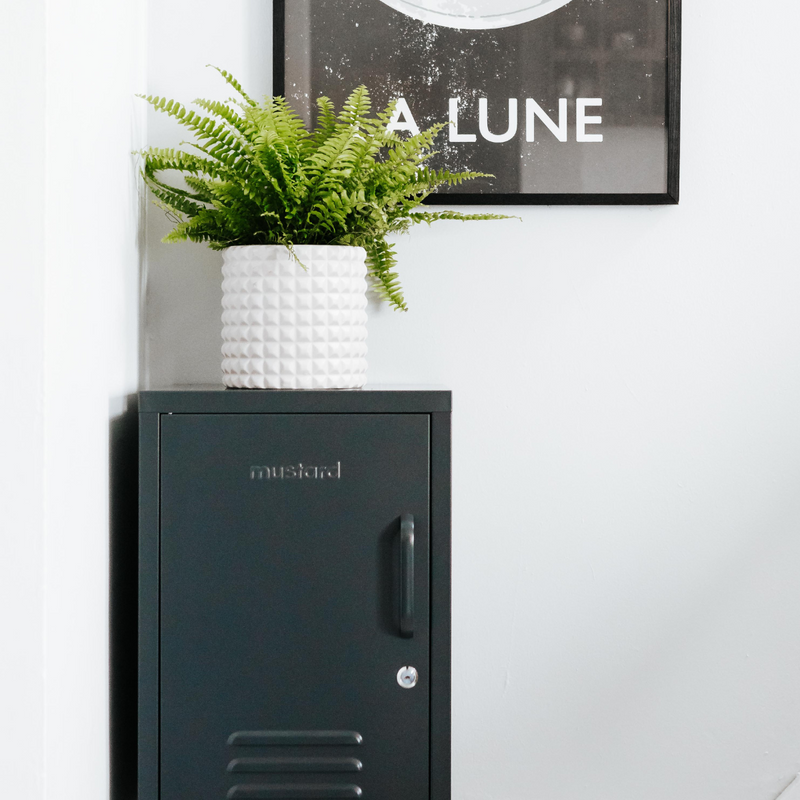 The Shorty Locker