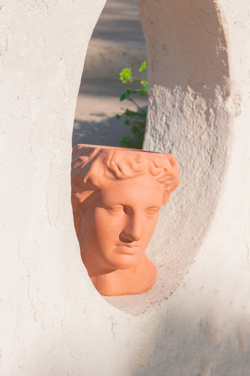 Apollo Vase/ Pot