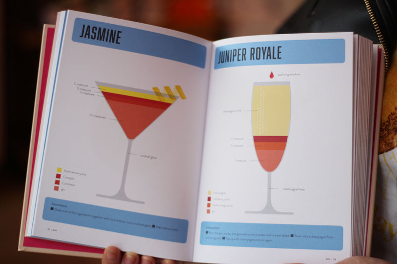 Lessons in Mixology: A Graphic Guide to Making the Perfect Cocktail Book