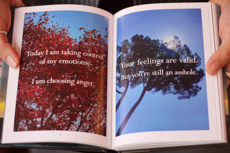 Sorry in Advance For Making Things Weird/ Disappointing Affirmations Book