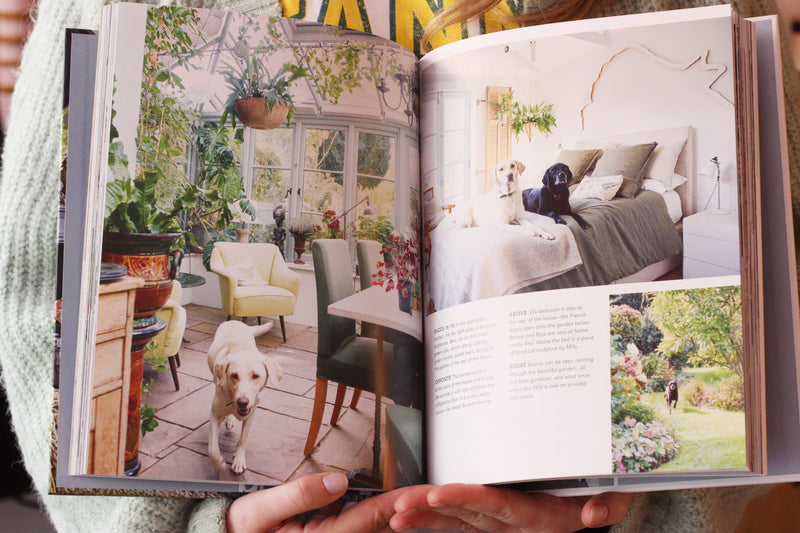 Cool Dogs, Cool Homes Book