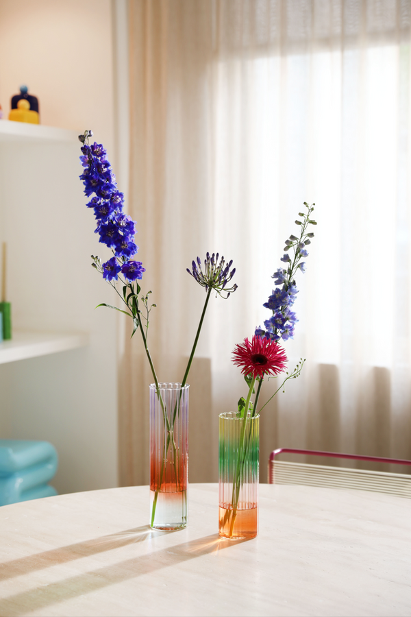Gradient Colourful Vase