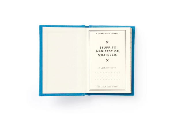 Tiny Hopes And Dreams Tiny Diary