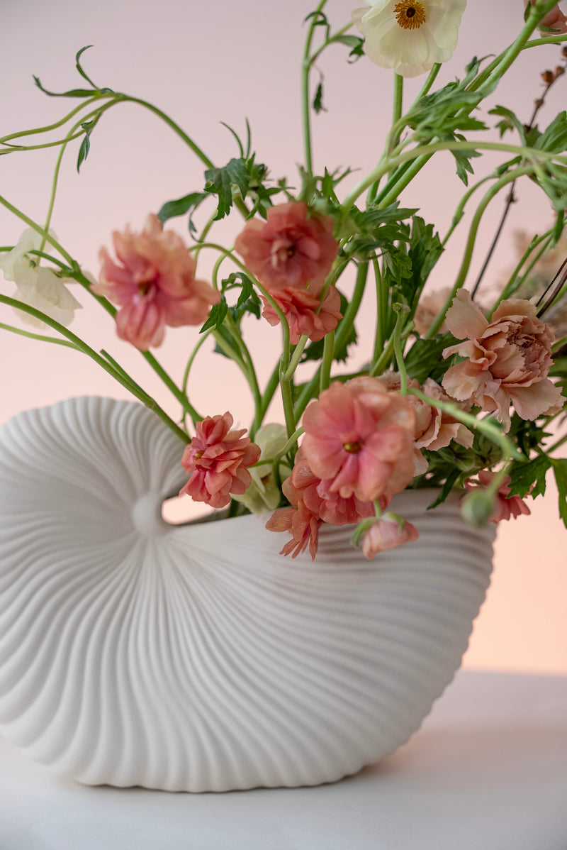 Shell Pot/ Vase