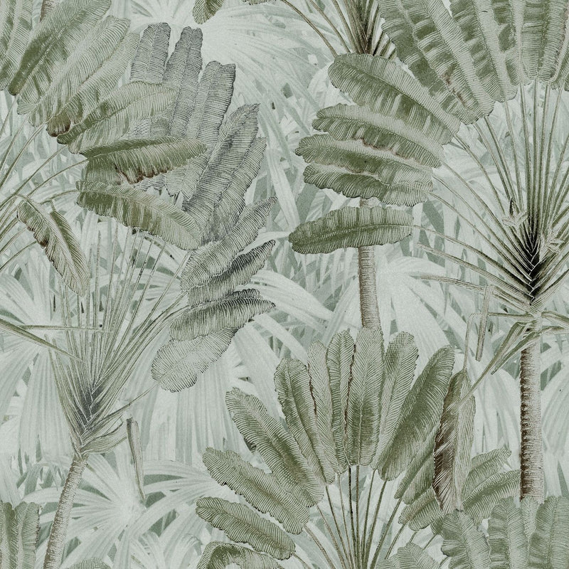 Traveller's Palm Wallpaper