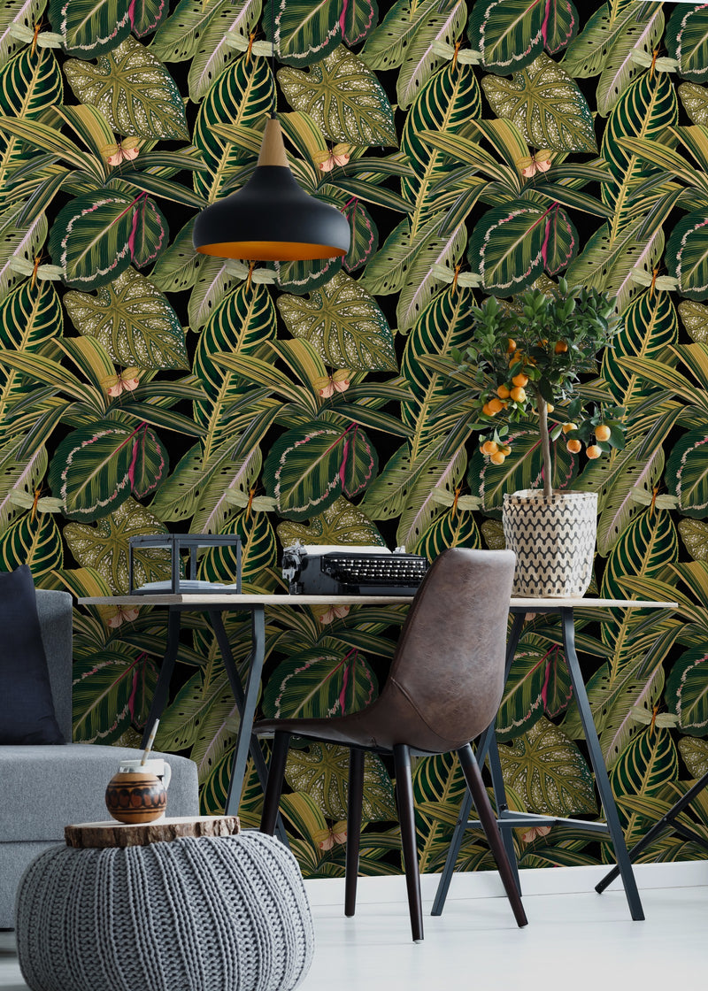 Amazonia Wallpaper /WP20159