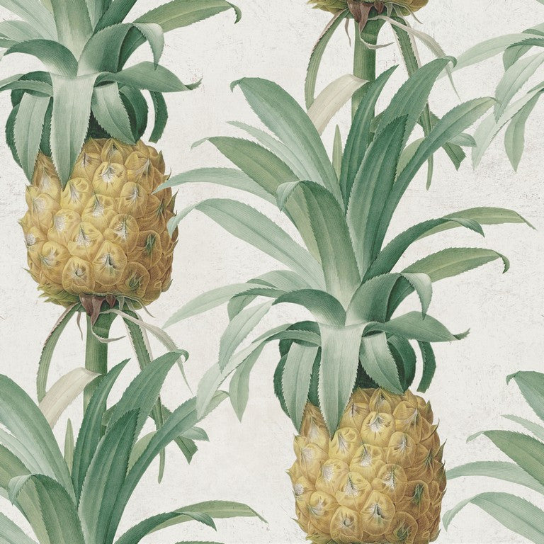 Anananas Pineapple Wallpaper