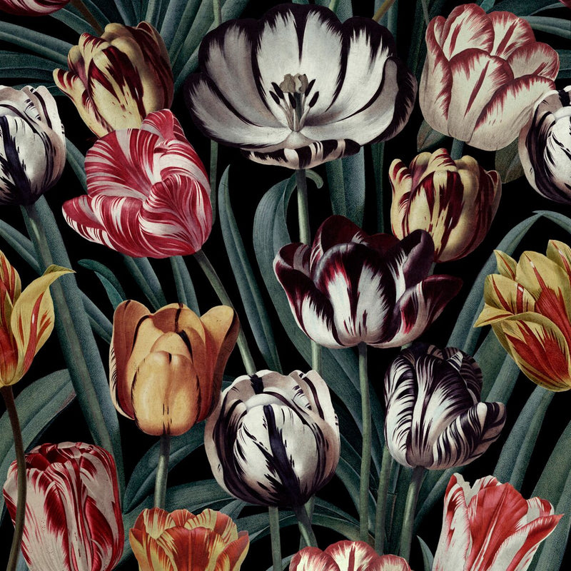 Tulips Wallpaper