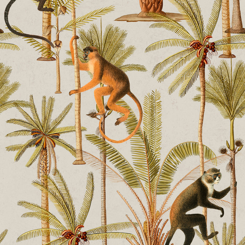 Barbados Monkey Wallpaper