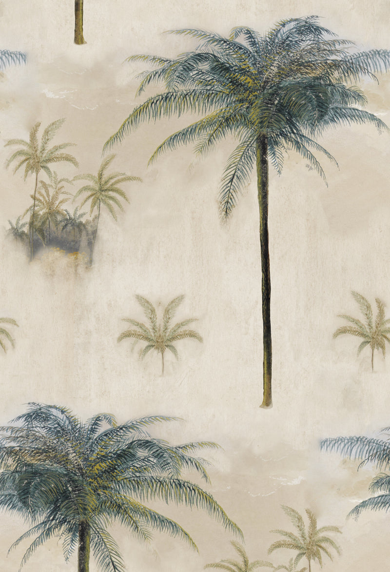 Cayo Largo Palm Tree Wallpaper