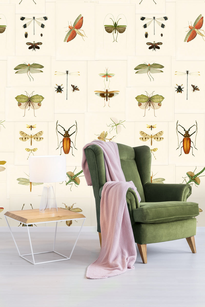 Entomology Insects Wallpaper