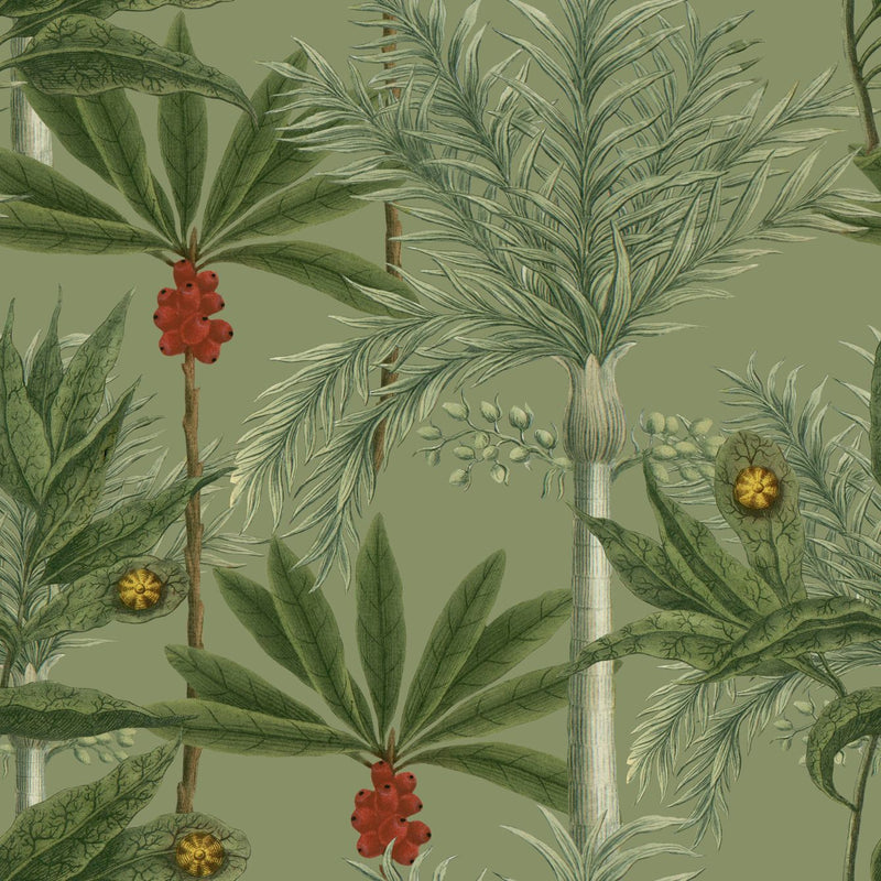 Madagascar Wallpaper