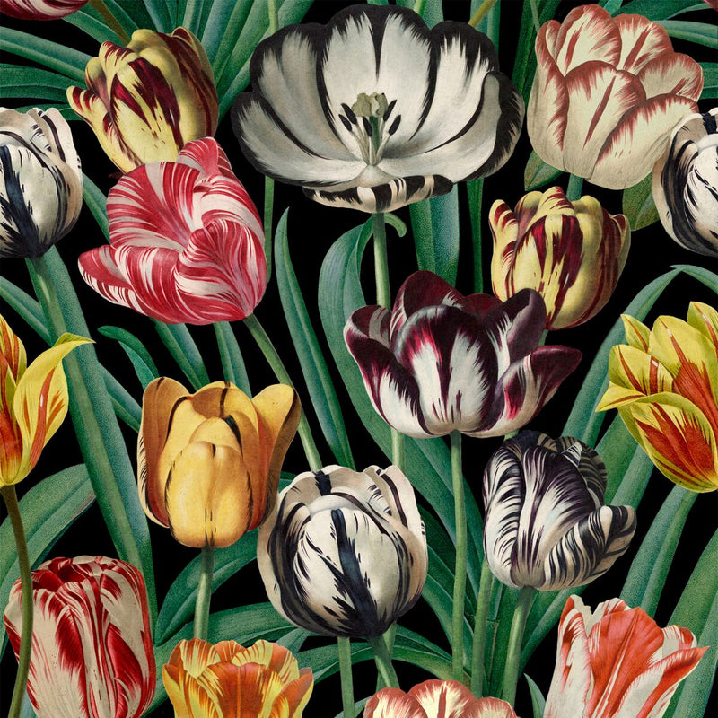 Tulips Wallpaper