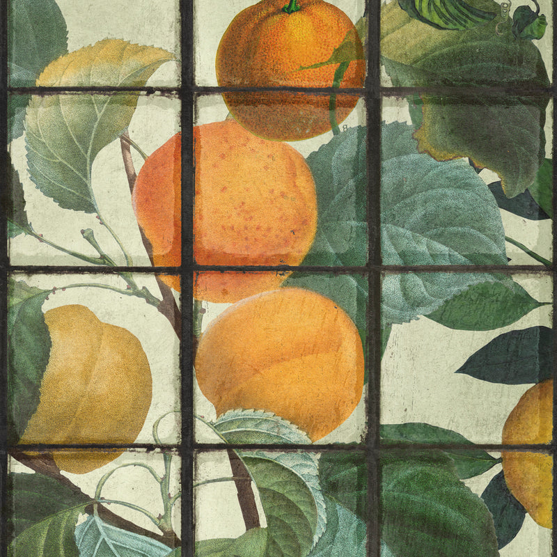 Orangerie Wallpaper