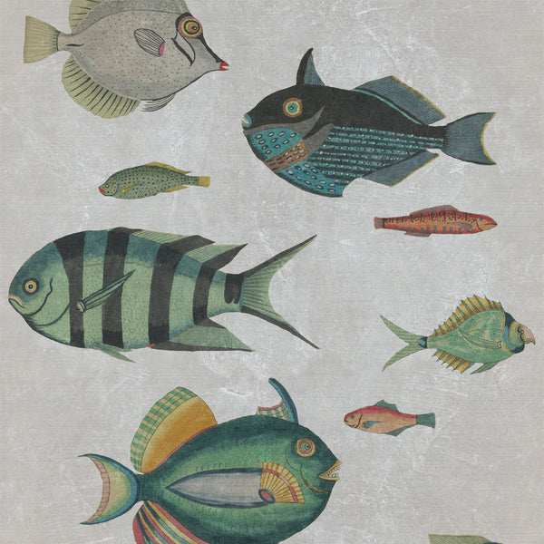 Poissons Wallpaper