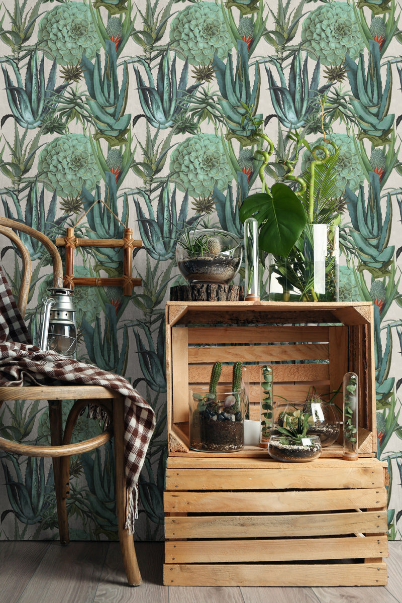 Succulents Wallpaper