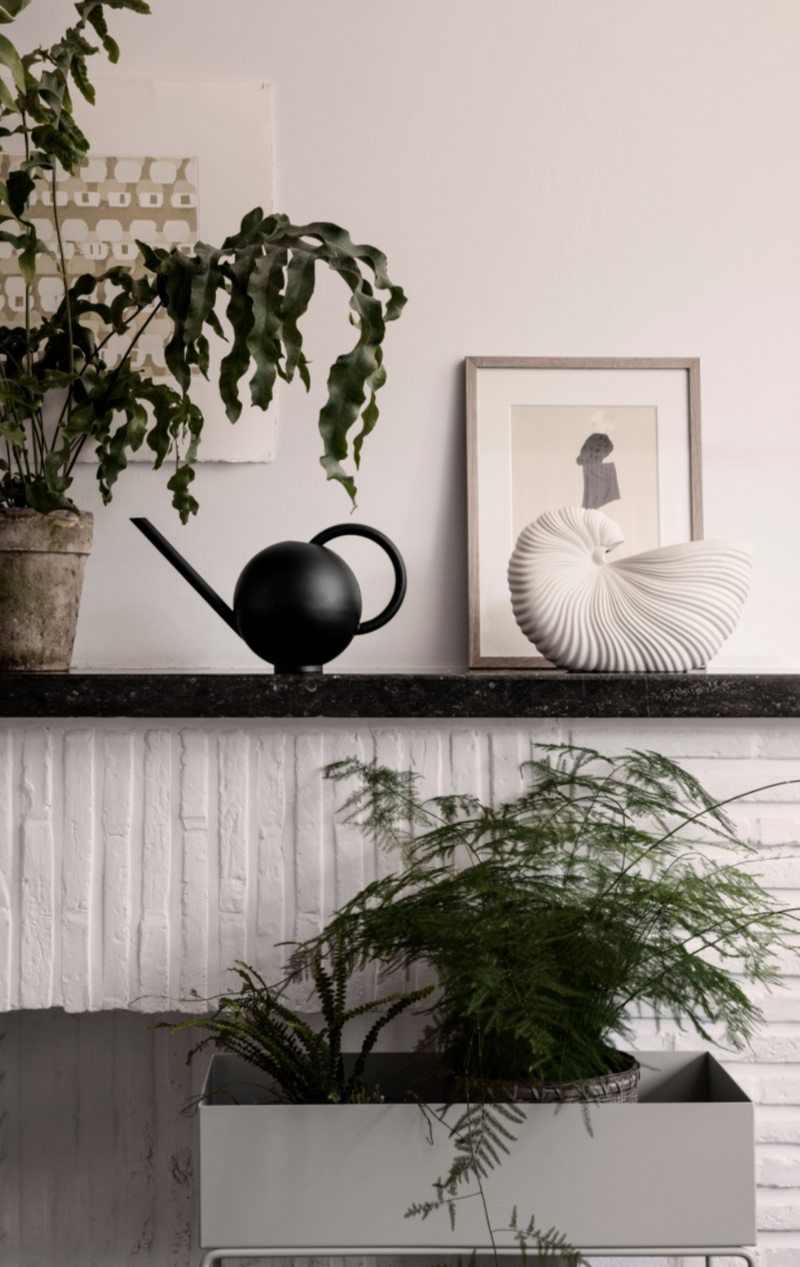 Shell Pot/ Vase
