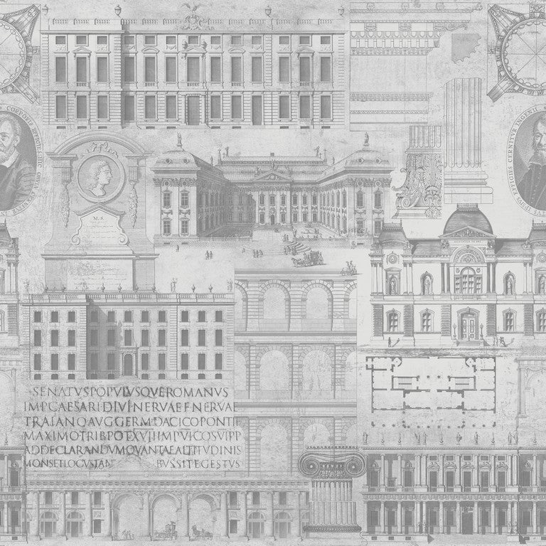 Vitruvius Illustration Wallpaper
