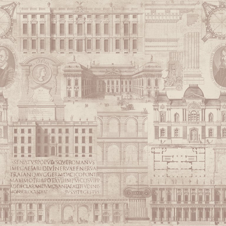 Vitruvius Illustration Wallpaper