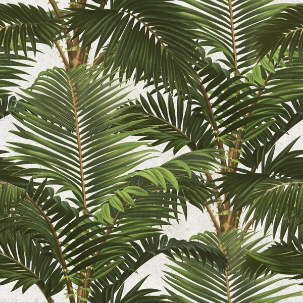 Jardin Tropical Leaf Wallpaper