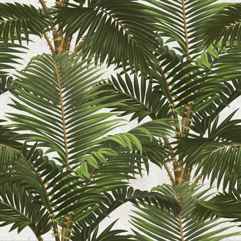 Jardin Tropical Leaf Wallpaper