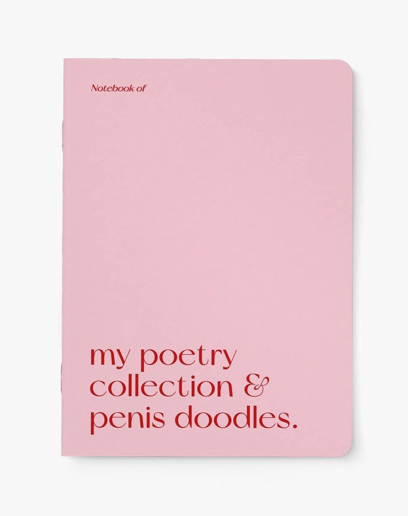  buy Penis Doodles notebook Dublin Ireland funny noteboks gifts 
