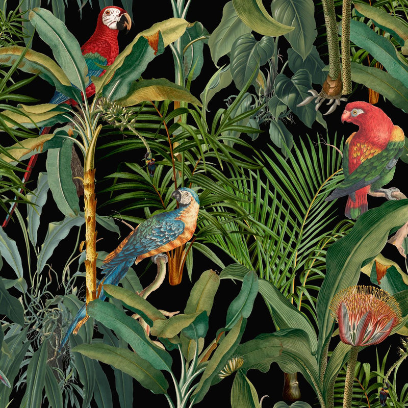 Parrots of Brasil Wallpaper