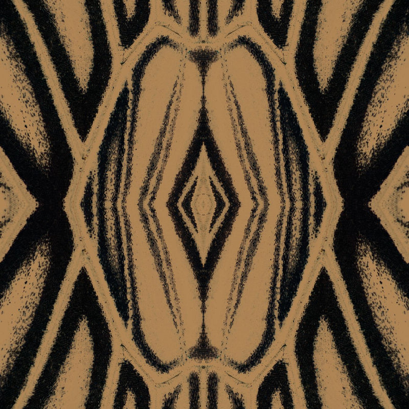 Quagga Wallpaper