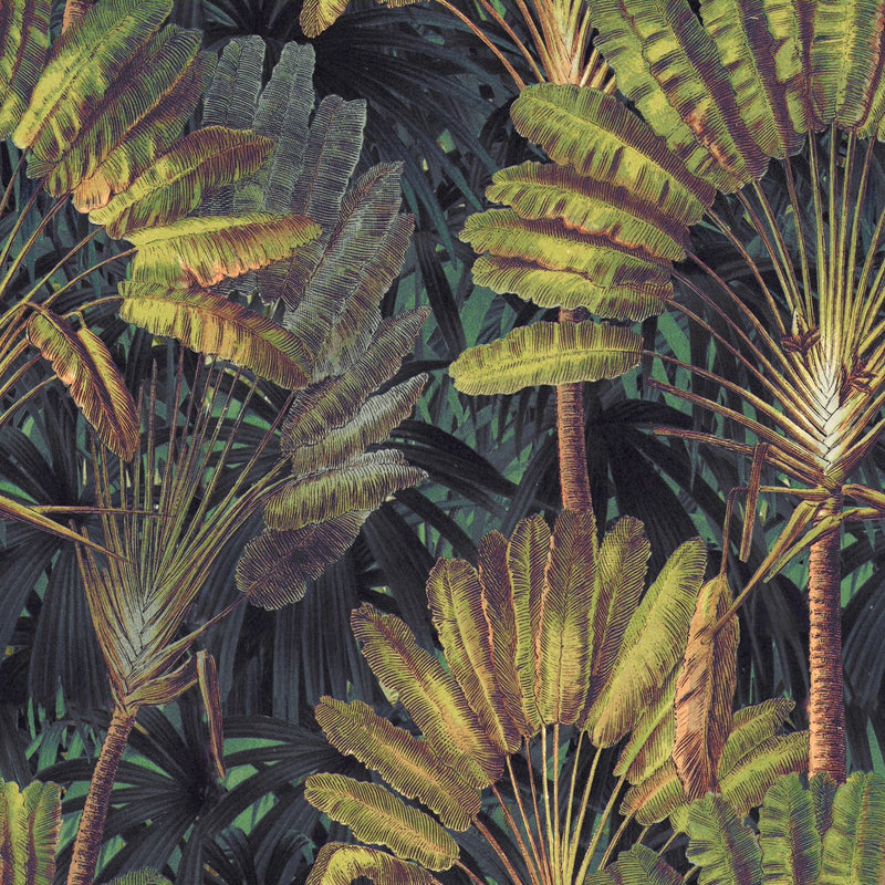 Traveller's Palm Wallpaper